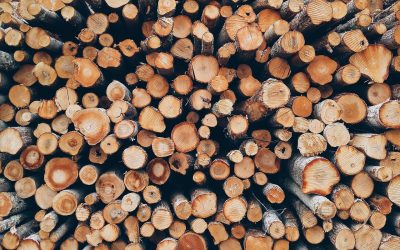 Biomasa leśna gorsza niż paliwa kopalne? 