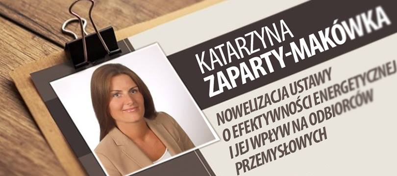 Nowelizacja ustawy o efektywności energetycznej i jej wpływ na odbiorców przemysłowych